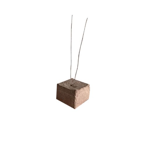 Cocada
